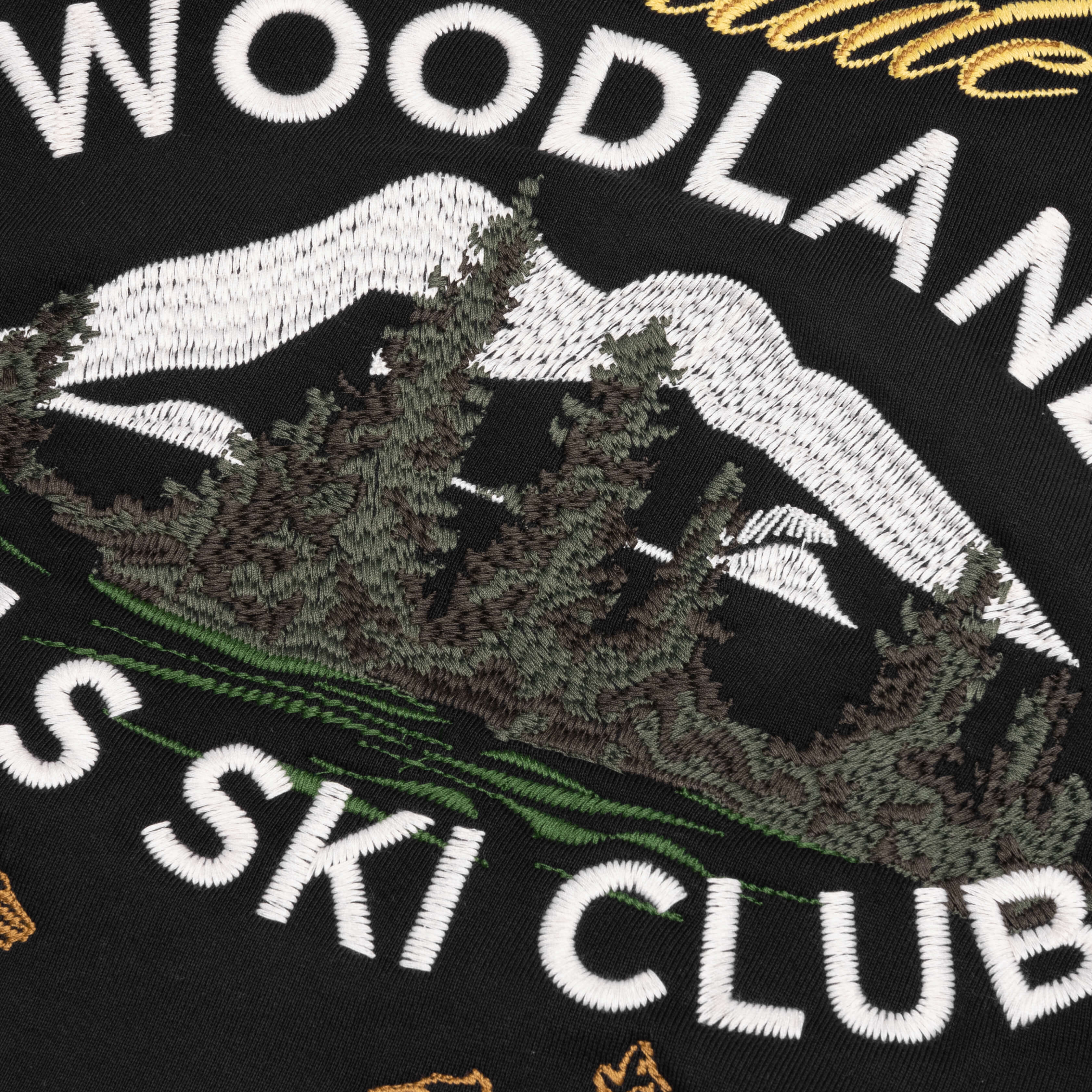 Woodland Hills Ski Hoodie Vintage Black