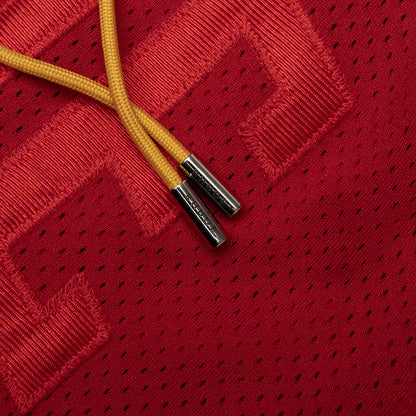 Baggy Mesh Collegiate Logo Shorts Red