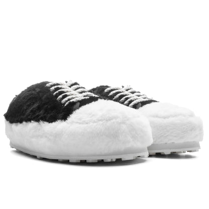 Black Teddy Tennis Sneaker Lily White Black