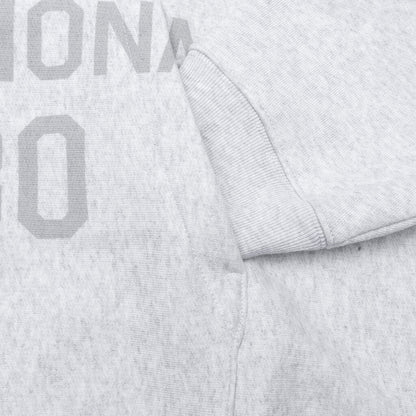 Established Printed Zip Hoodie Ash Heather