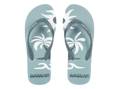 Sandalias Quiksilver Molokai Screen Color Sage para Hombre