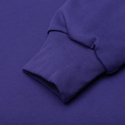 College Puffy Relaxed Fit Pullover Hoodie Blue