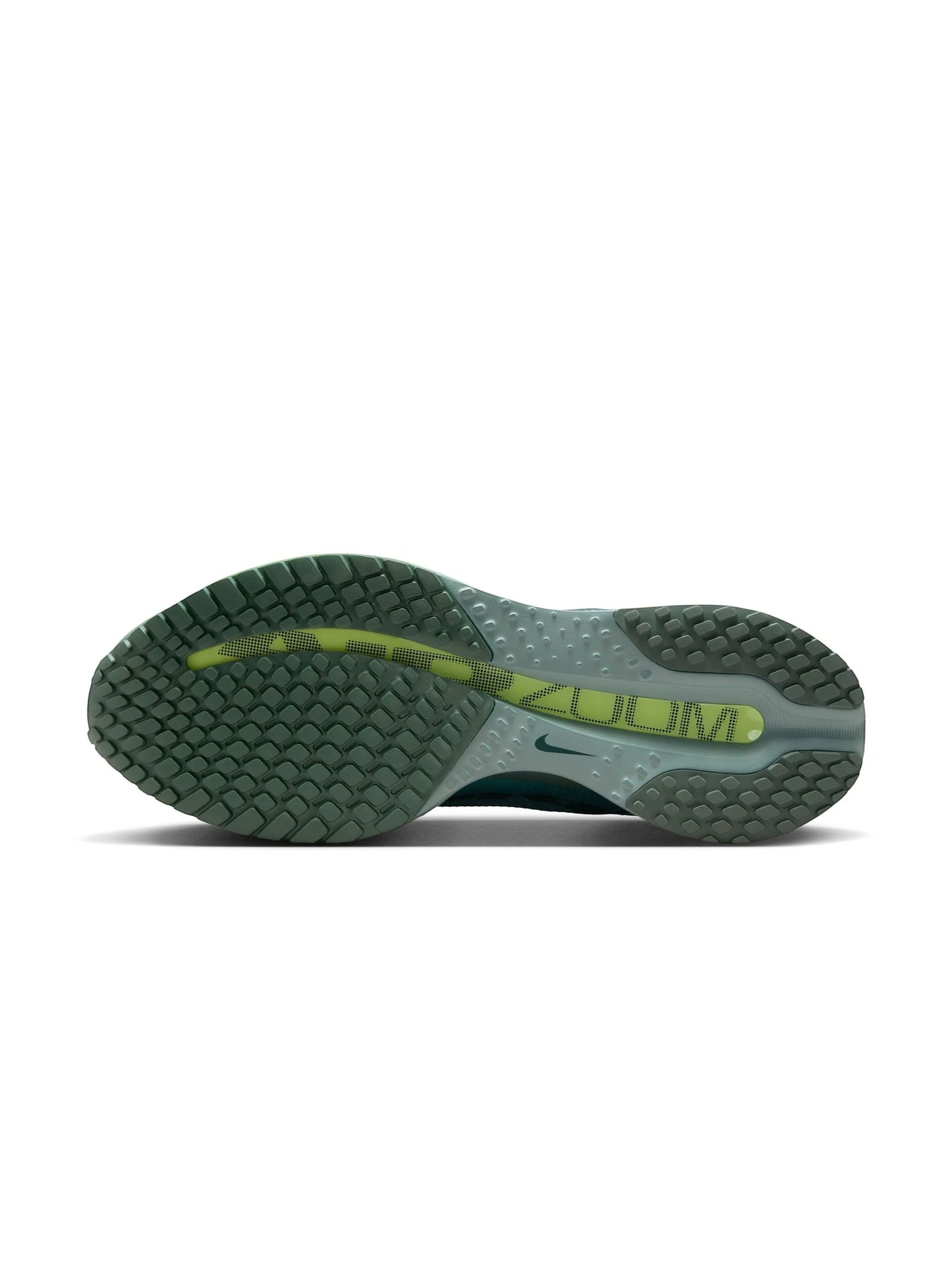 Nike Pegasus Premium Mens Shoes