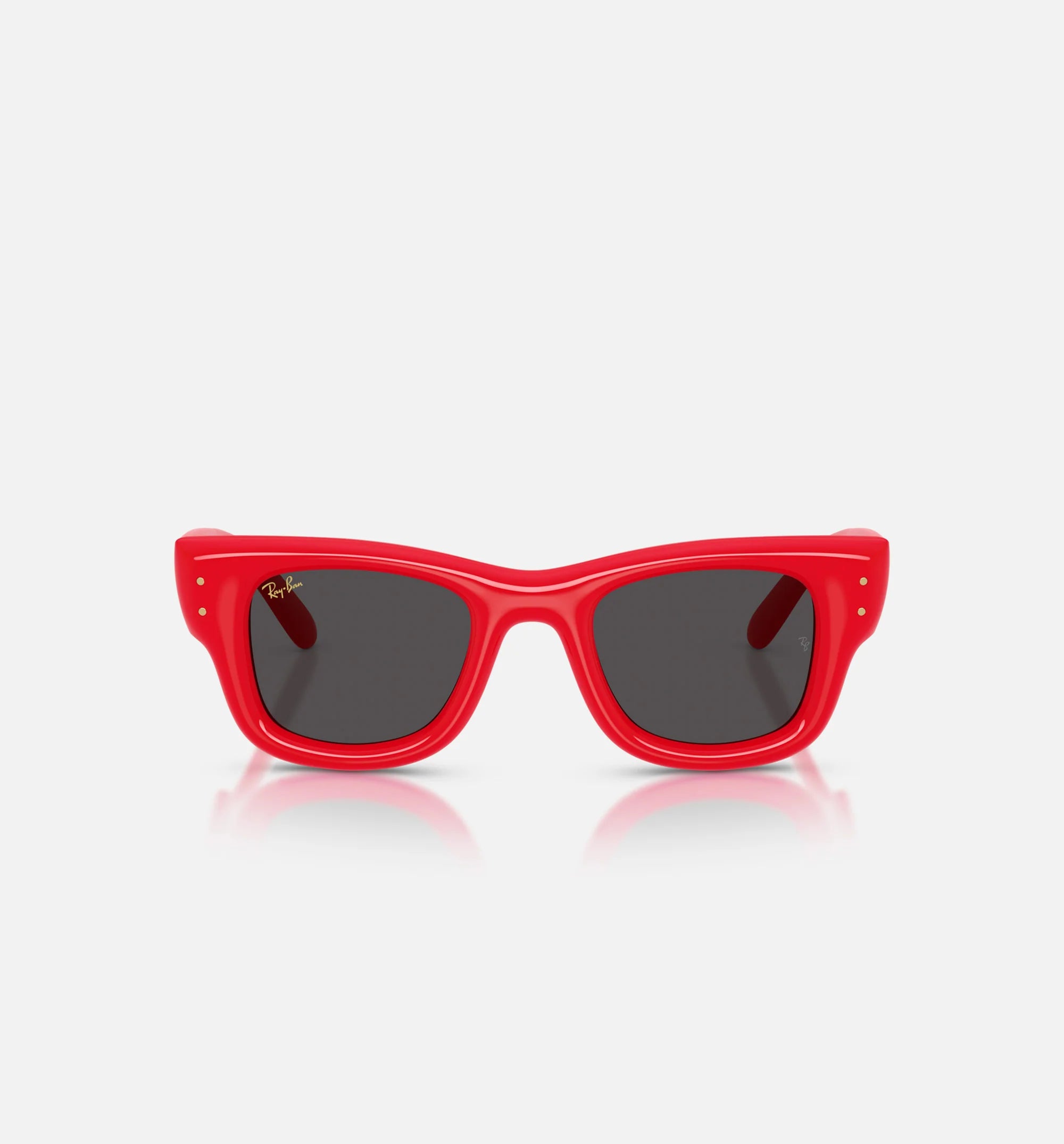AAP Rocky x The Wayfarer Puffer Mens Sunglases Red