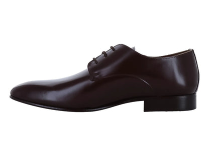 Zapato Evolucion Color Café para Hombre