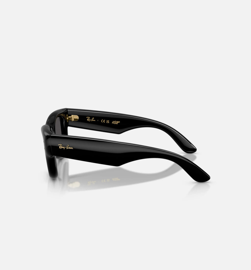 AAP Rocky x The Wayfarer Puffer Mens Sunglases Black