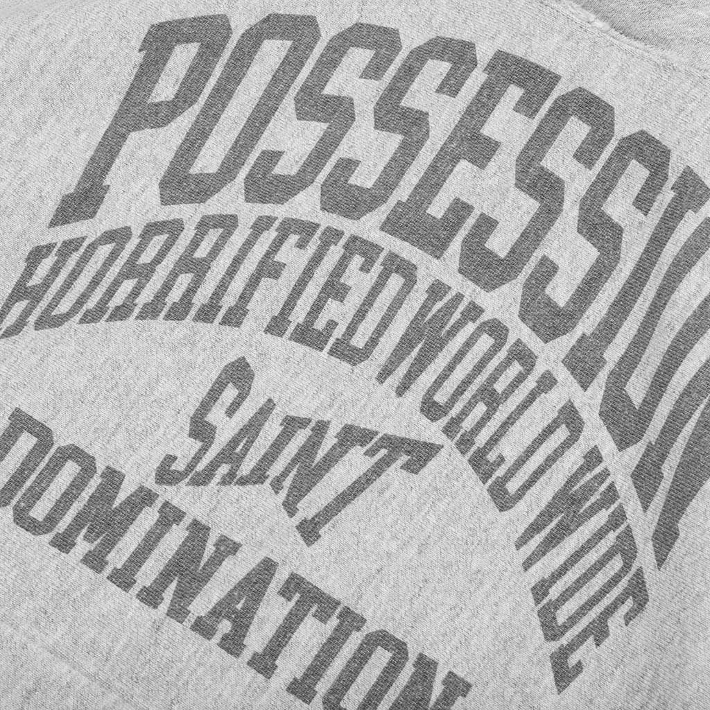 Possession Hoodie Grey
