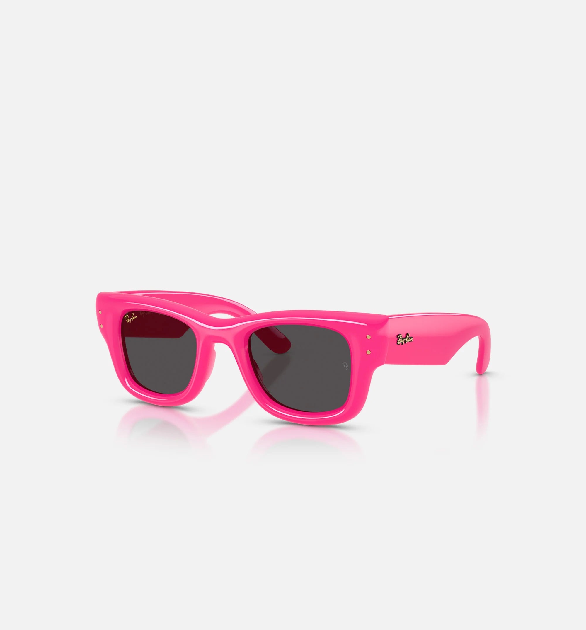 AAP Rocky x The Wayfarer Puffer Mens Sunglases Pink