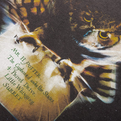Saint M6 x Harry Potter Philosophers Stone S S Tee Black