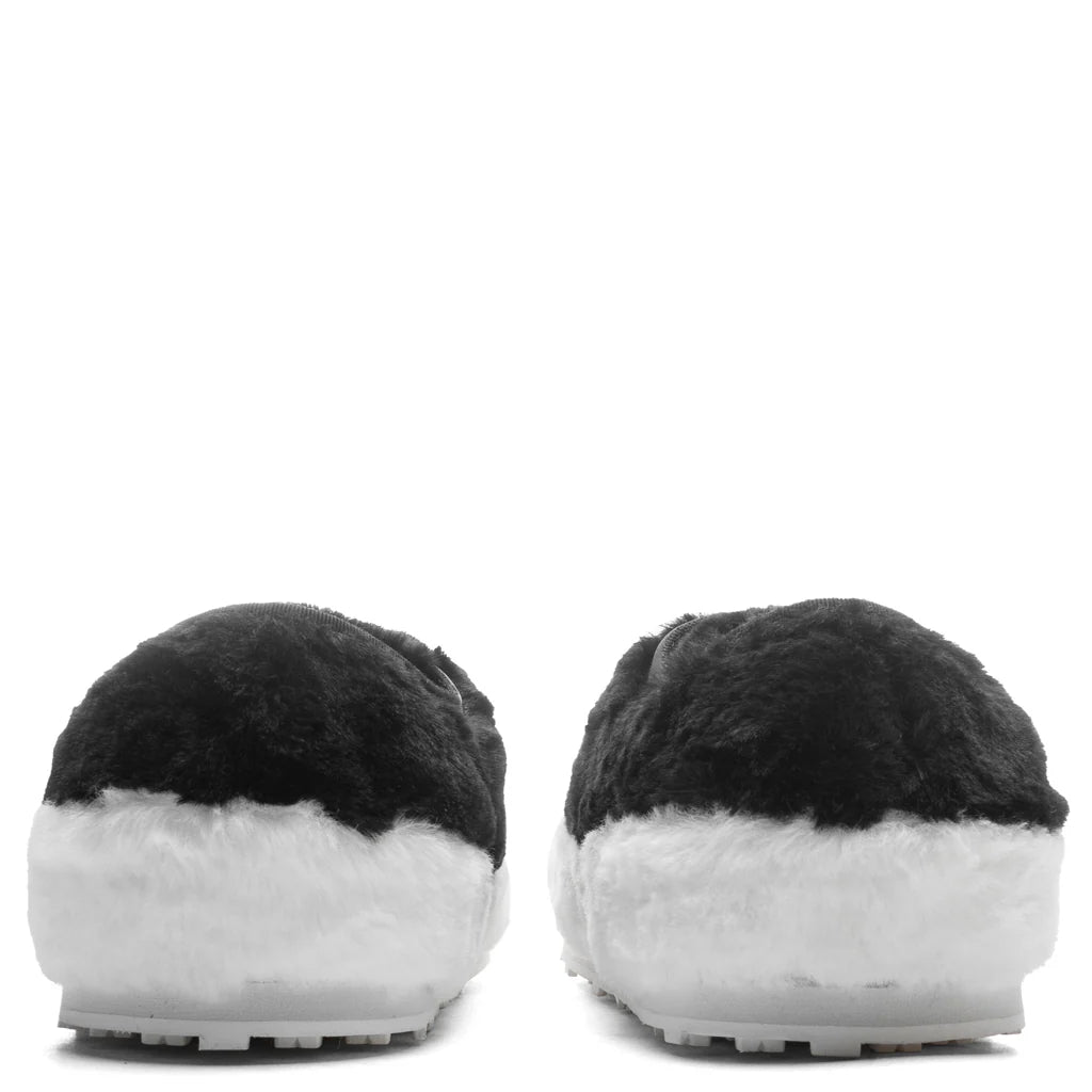 Black Teddy Tennis Sneaker Lily White Black