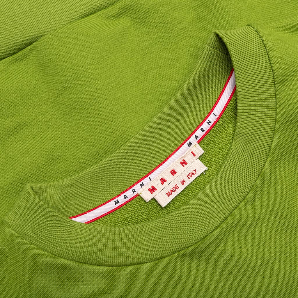 Sweatshirt Kiwi