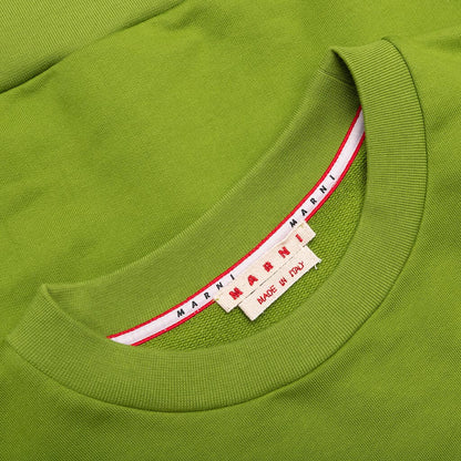 Sweatshirt Kiwi